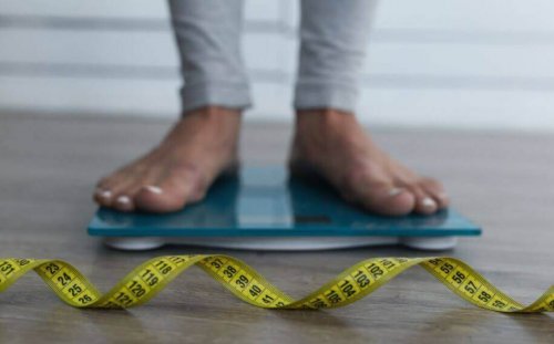 素早く体重を落とす方法：正しい知識を！