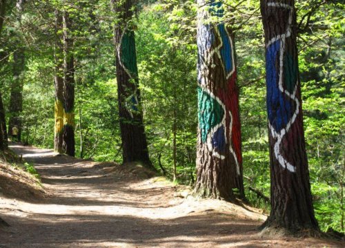 スペイン ハイキング コース