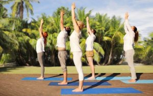 初心者むき!簡単なヨガポーズ