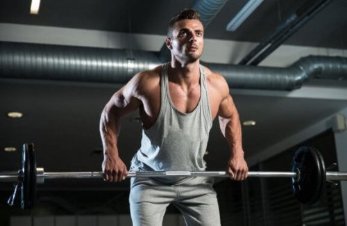 ジム バーベルロウ テクニック コツ