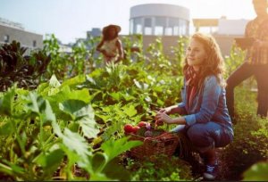 もっと旬のフルーツや野菜を食べよう