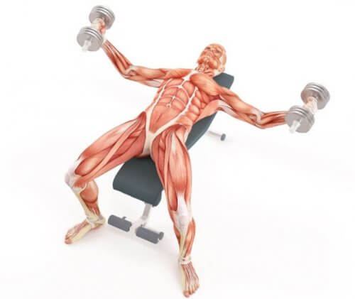 ダンベルを使ったベンチプレス