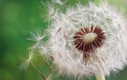 アレルギー 原因 予防