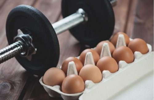 筋肉の増強に役立つ素晴らしい食品８選をご紹介！