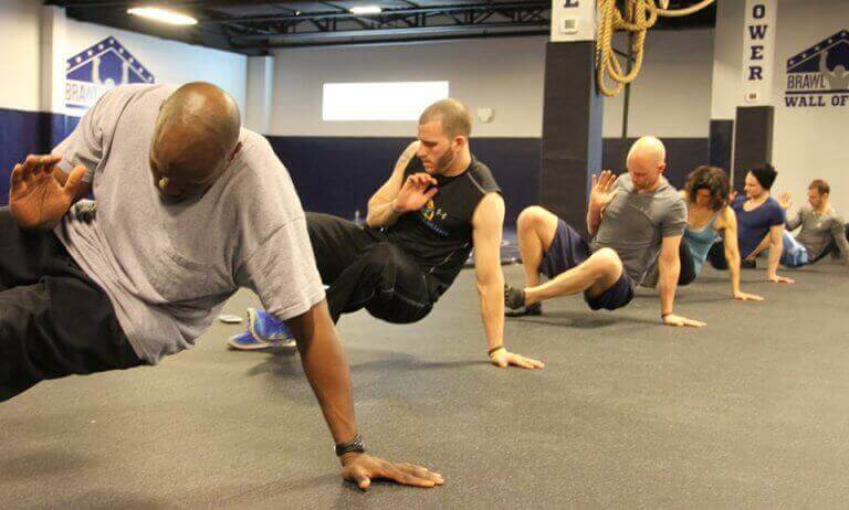 カポエラ アニマルフロー