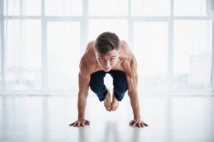 アニマルフロー:革新的なフィットネスプログラム