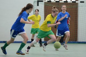 スペインの大学スポーツ連盟について