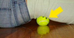 テニスボールを使ったエクササイズ