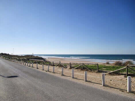 スペインの素敵なビーチでランニング